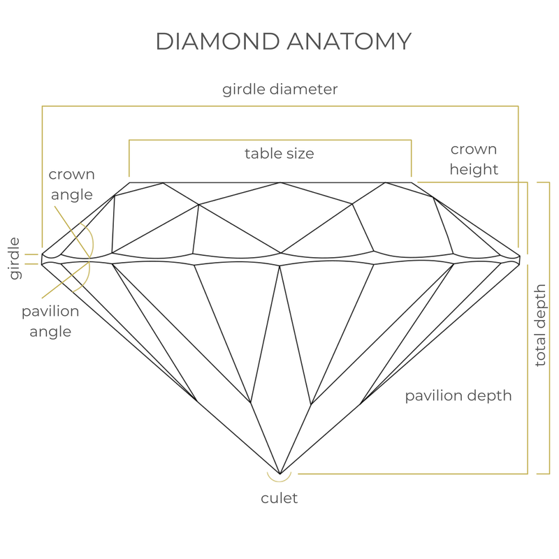 Anatomy - INTERNATIONAL DIAMOND REPORT